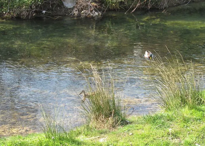 Rio 아파트 포드스트라나